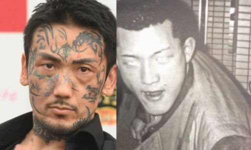 枸杞灵芝泡水喝的功效和禁忌-枸杞灵芝泡水喝的功效网 - 为你提供枸杞灵芝泡水喝的功效和作用、灵芝枸杞茶的功效