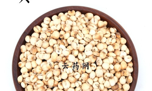枸杞灵芝泡水喝的功效网 - 为你提供枸杞灵芝泡水喝的功效和作用、灵芝枸杞茶的功效