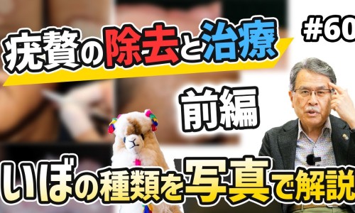 灵芝枸杞作用-枸杞灵芝泡水喝的功效网 - 为你提供枸杞灵芝泡水喝的功效和作用、灵芝枸杞茶的功效